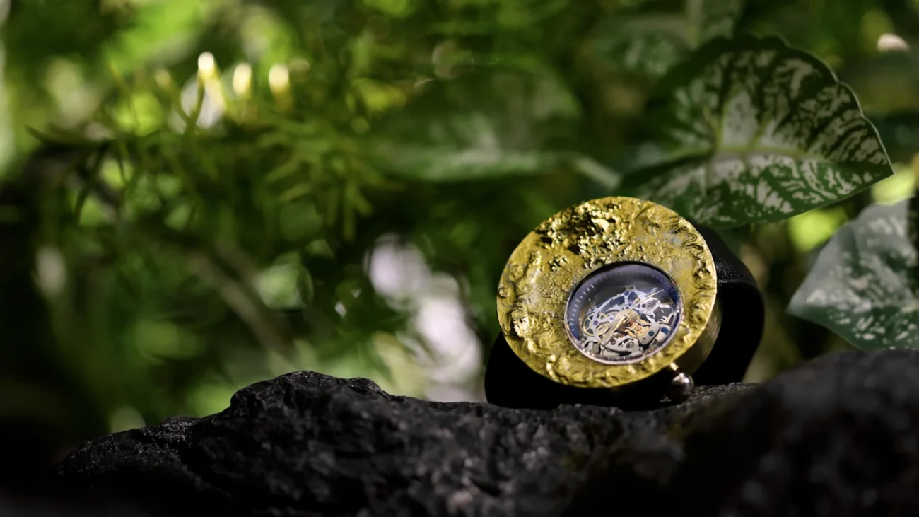 Affordable Watch